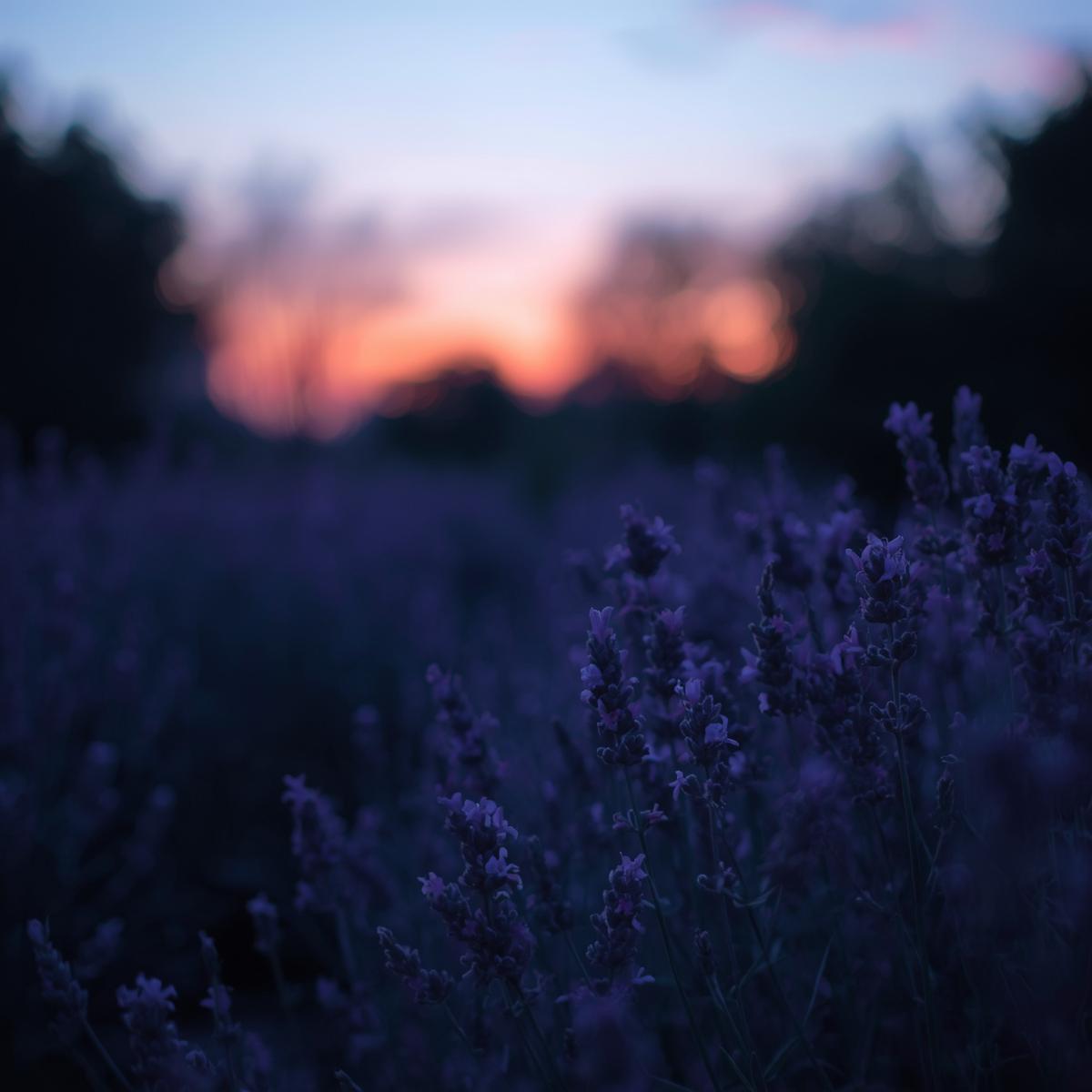 Illan Hämärä tuoksukynttilä